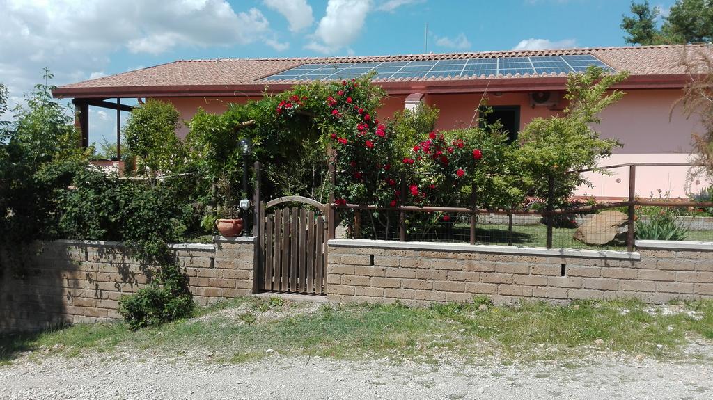 Agriturismo Collelungo Di Maremma Diaccialone Екстер'єр фото