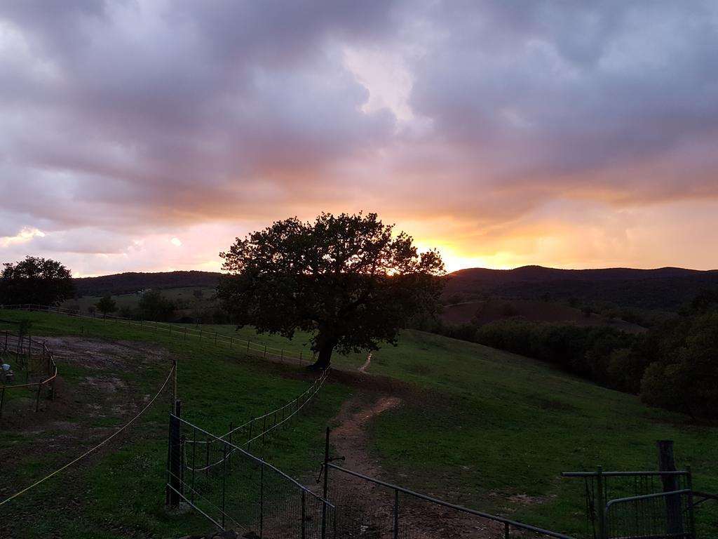 Agriturismo Collelungo Di Maremma Diaccialone Екстер'єр фото