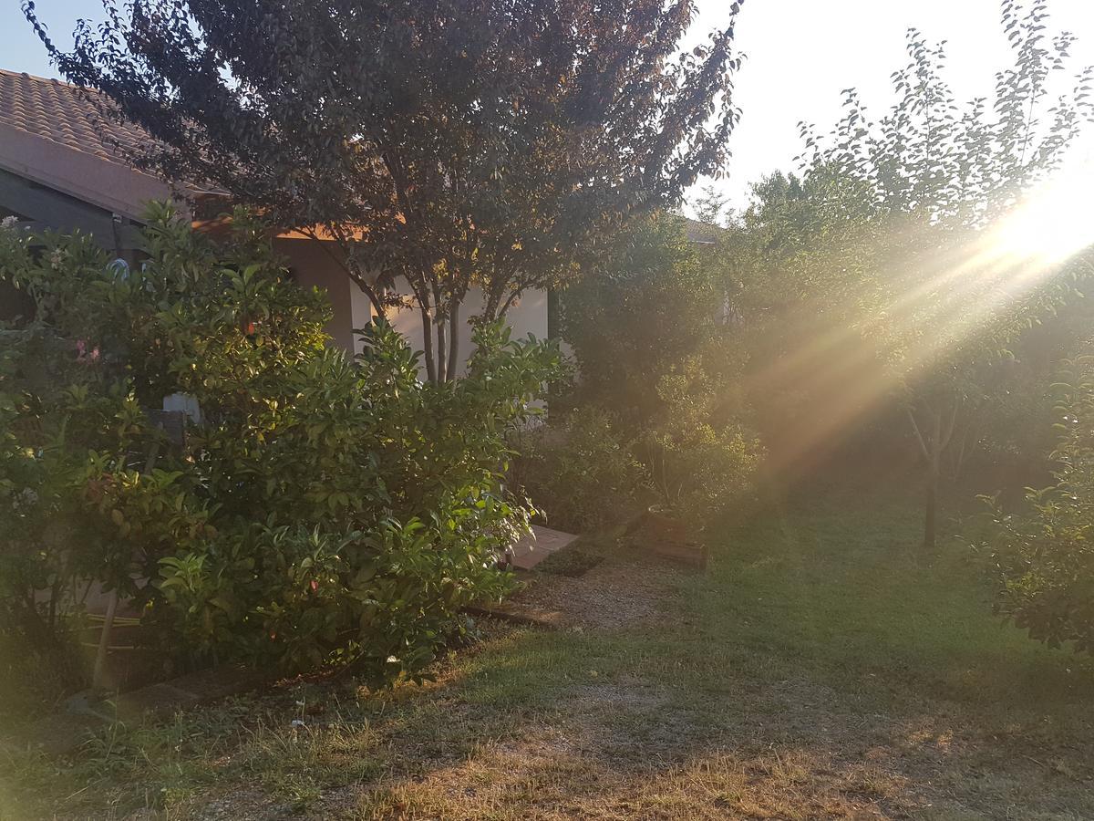 Agriturismo Collelungo Di Maremma Diaccialone Екстер'єр фото